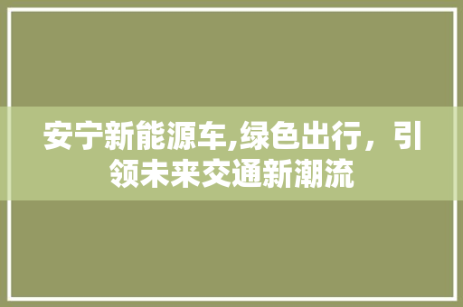 安宁新能源车,绿色出行，引领未来交通新潮流