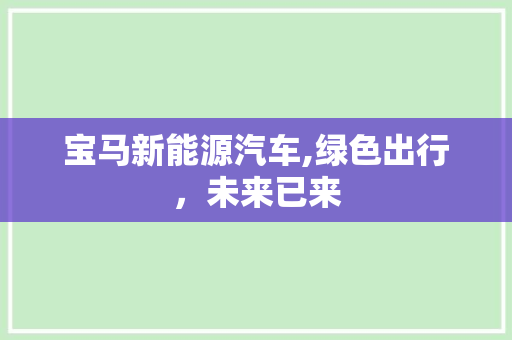 宝马新能源汽车,绿色出行，未来已来