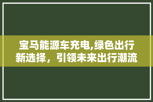 宝马能源车充电,绿色出行新选择，引领未来出行潮流