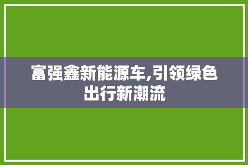 富强鑫新能源车,引领绿色出行新潮流