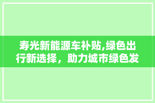 寿光新能源车补贴,绿色出行新选择，助力城市绿色发展