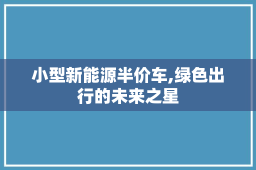小型新能源半价车,绿色出行的未来之星