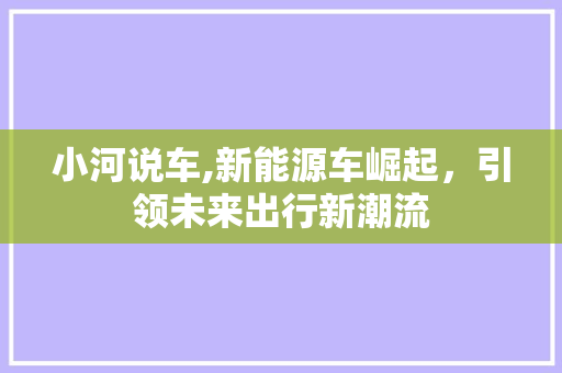 小河说车,新能源车崛起，引领未来出行新潮流