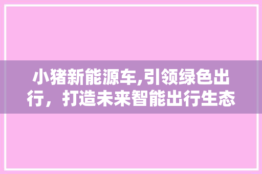 小猪新能源车,引领绿色出行，打造未来智能出行生态