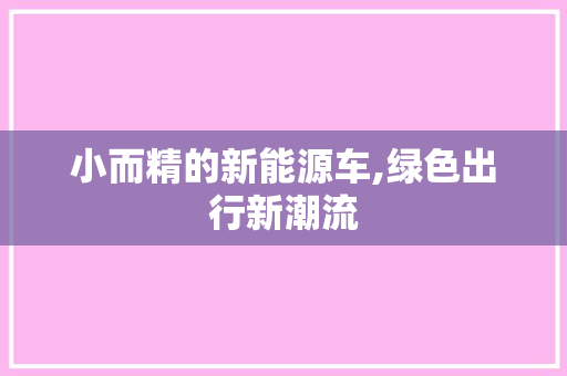 小而精的新能源车,绿色出行新潮流