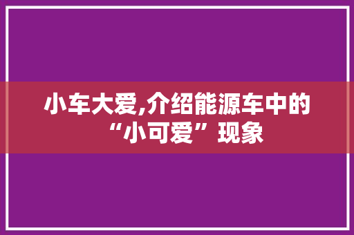 小车大爱,介绍能源车中的“小可爱”现象