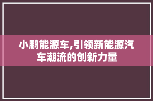 小鹏能源车,引领新能源汽车潮流的创新力量
