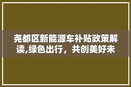 尧都区新能源车补贴政策解读,绿色出行，共创美好未来