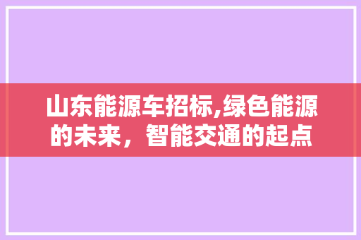 山东能源车招标,绿色能源的未来，智能交通的起点