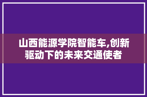 山西能源学院智能车,创新驱动下的未来交通使者
