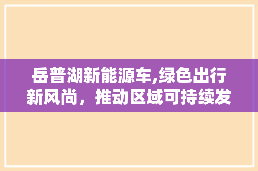 岳普湖新能源车,绿色出行新风尚，推动区域可持续发展