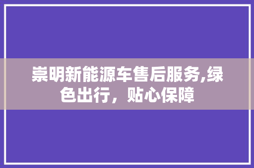 崇明新能源车售后服务,绿色出行，贴心保障