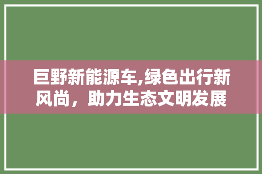 巨野新能源车,绿色出行新风尚，助力生态文明发展