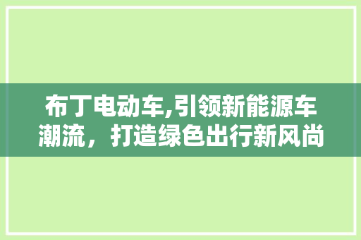 布丁电动车,引领新能源车潮流，打造绿色出行新风尚