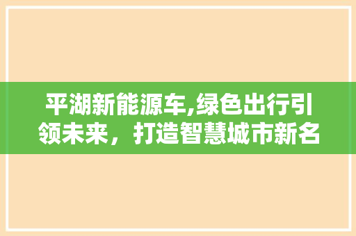 平湖新能源车,绿色出行引领未来，打造智慧城市新名片