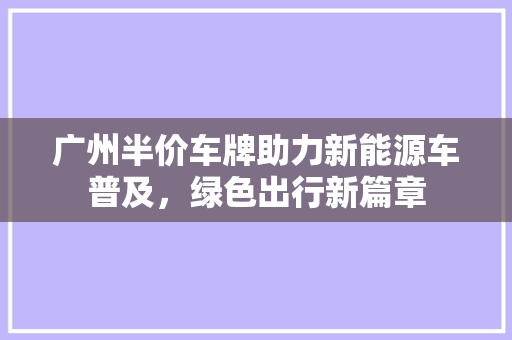 广州半价车牌助力新能源车普及，绿色出行新篇章