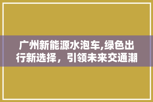 广州新能源水泡车,绿色出行新选择，引领未来交通潮流