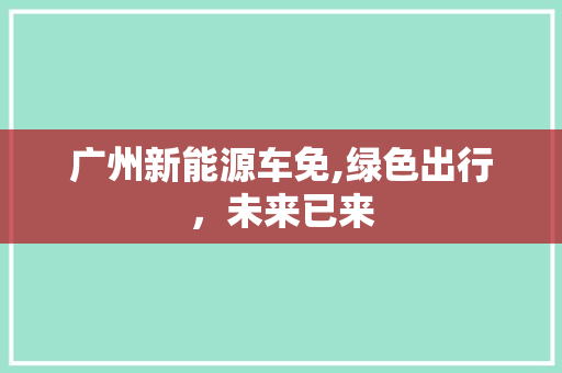 广州新能源车免,绿色出行，未来已来