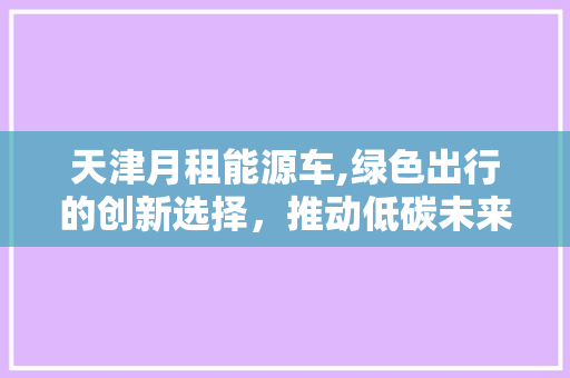 天津月租能源车,绿色出行的创新选择，推动低碳未来
