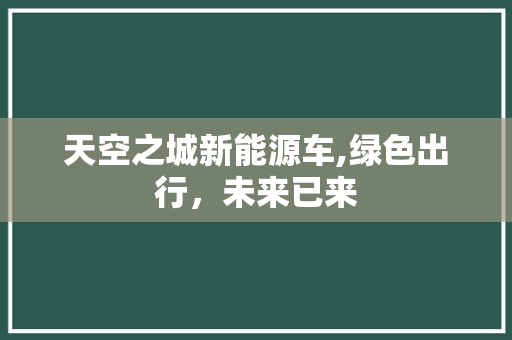 天空之城新能源车,绿色出行，未来已来