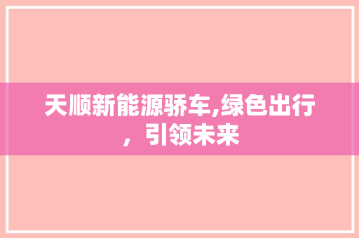 天顺新能源骄车,绿色出行，引领未来