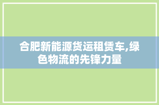 合肥新能源货运租赁车,绿色物流的先锋力量