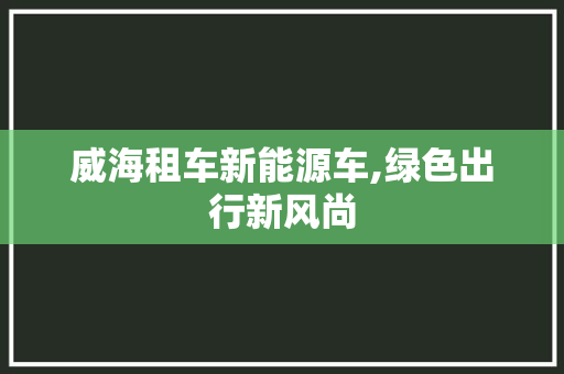 威海租车新能源车,绿色出行新风尚