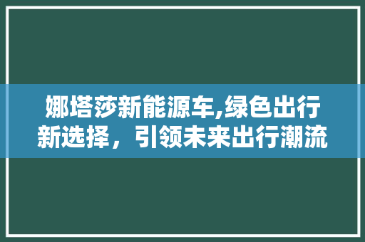 娜塔莎新能源车,绿色出行新选择，引领未来出行潮流