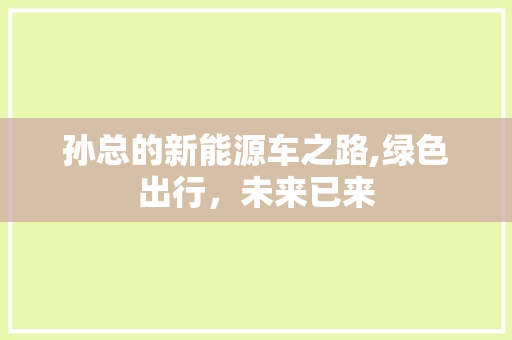 孙总的新能源车之路,绿色出行，未来已来