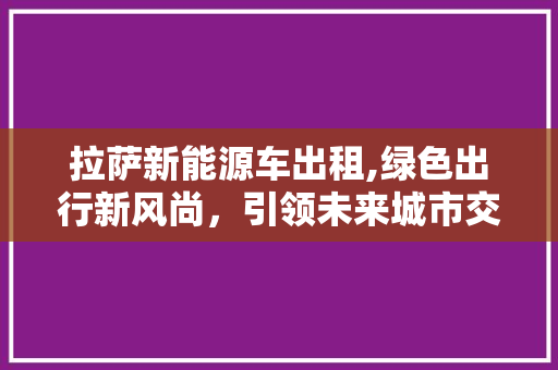 拉萨新能源车出租,绿色出行新风尚，引领未来城市交通