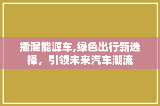 插混能源车,绿色出行新选择，引领未来汽车潮流
