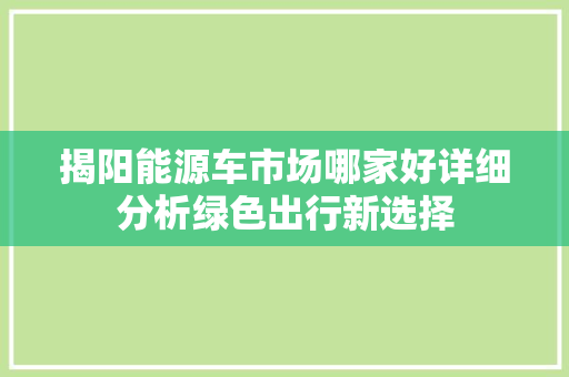 揭阳能源车市场哪家好详细分析绿色出行新选择