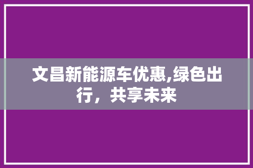 文昌新能源车优惠,绿色出行，共享未来