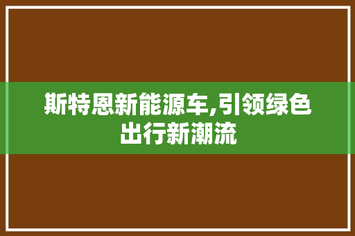 斯特恩新能源车,引领绿色出行新潮流