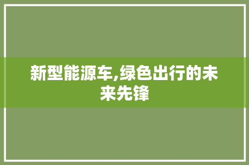 新型能源车,绿色出行的未来先锋