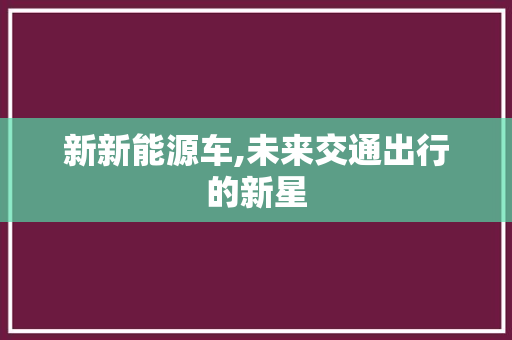 新新能源车,未来交通出行的新星