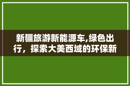 新疆旅游新能源车,绿色出行，探索大美西域的环保新篇章