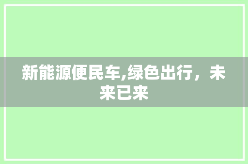 新能源便民车,绿色出行，未来已来
