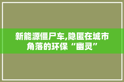 新能源僵尸车,隐匿在城市角落的环保“幽灵”