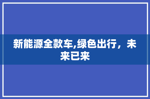 新能源全款车,绿色出行，未来已来
