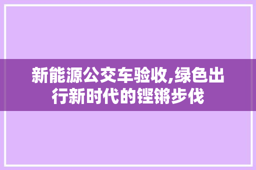 新能源公交车验收,绿色出行新时代的铿锵步伐