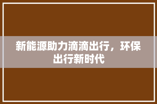 新能源助力滴滴出行，环保出行新时代