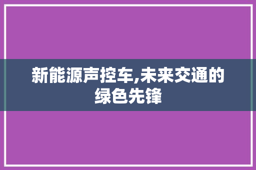 新能源声控车,未来交通的绿色先锋