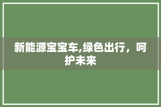 新能源宝宝车,绿色出行，呵护未来