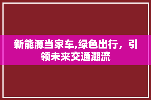 新能源当家车,绿色出行，引领未来交通潮流