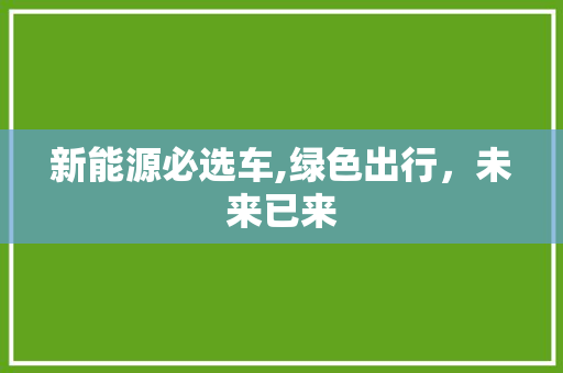 新能源必选车,绿色出行，未来已来