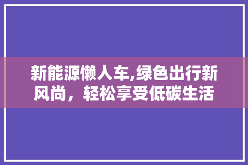 新能源懒人车,绿色出行新风尚，轻松享受低碳生活