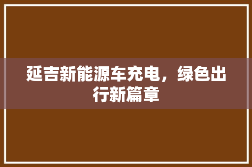 延吉新能源车充电，绿色出行新篇章