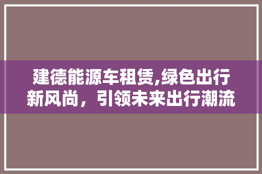 建德能源车租赁,绿色出行新风尚，引领未来出行潮流