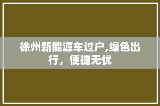 徐州新能源车过户,绿色出行，便捷无忧